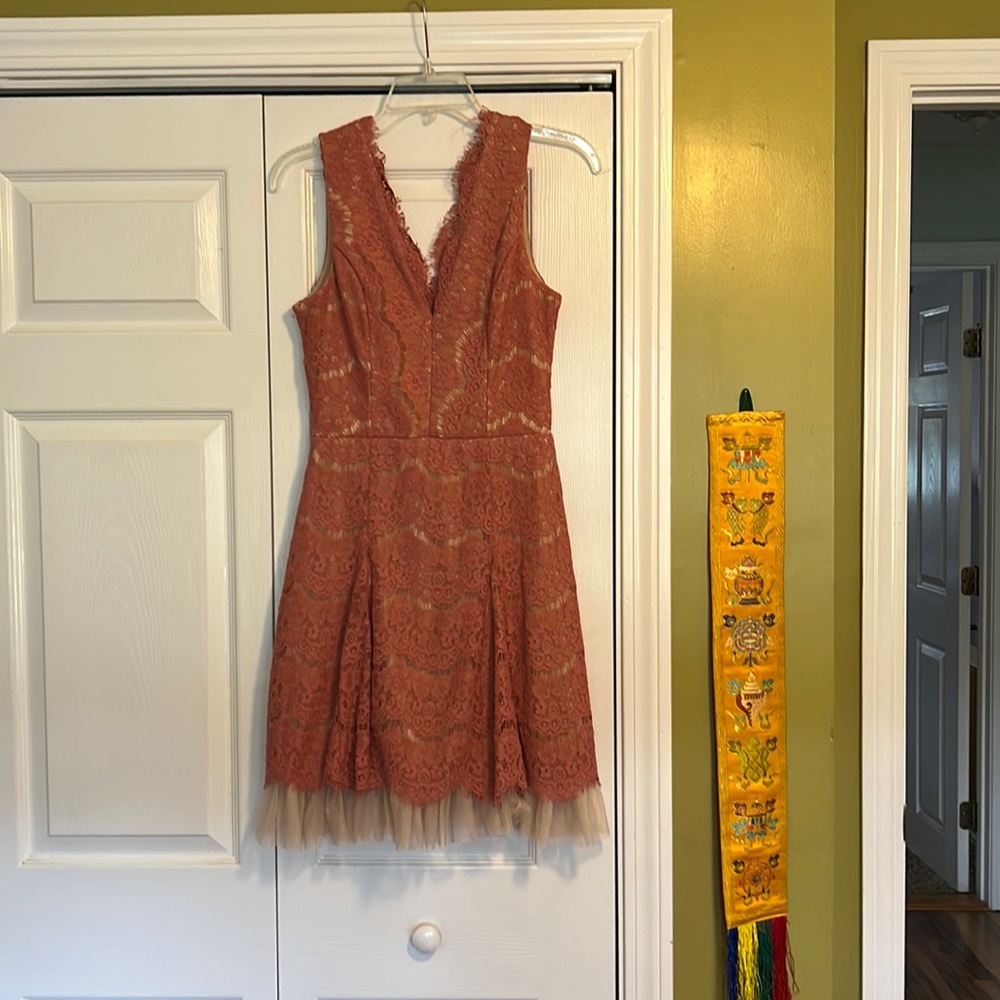 Light pink lacy overlay dress with a krenlin- zips in the back- worn once - M